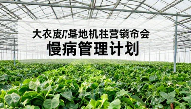 慢病随访使用建议：集中管理与分散随访的取舍
